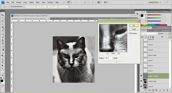 Creation of Nice Kitty Kitty?: Step 5